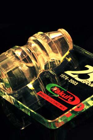 <h6>Glass/Acrylic Paperweights</h6>